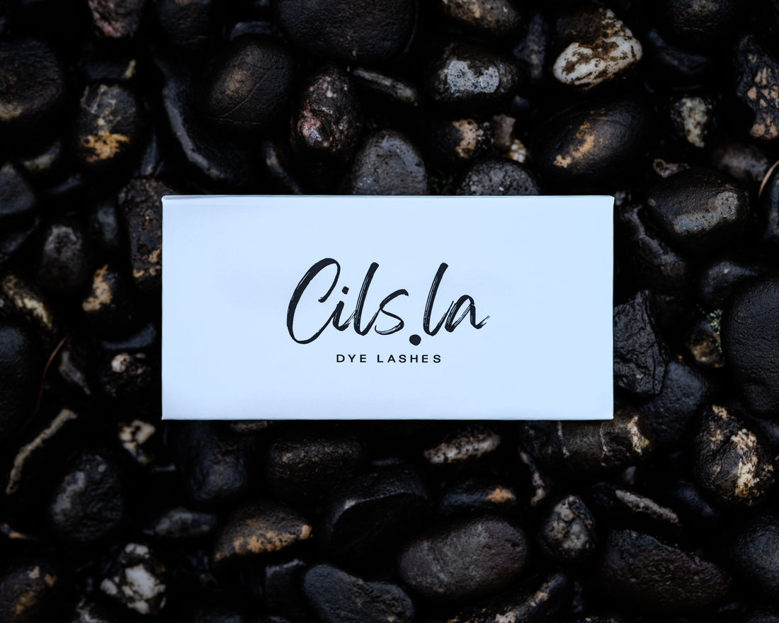 Caja Simple - Pluma