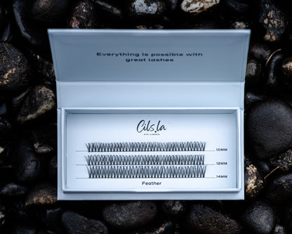 Caja Mixta - Pluma