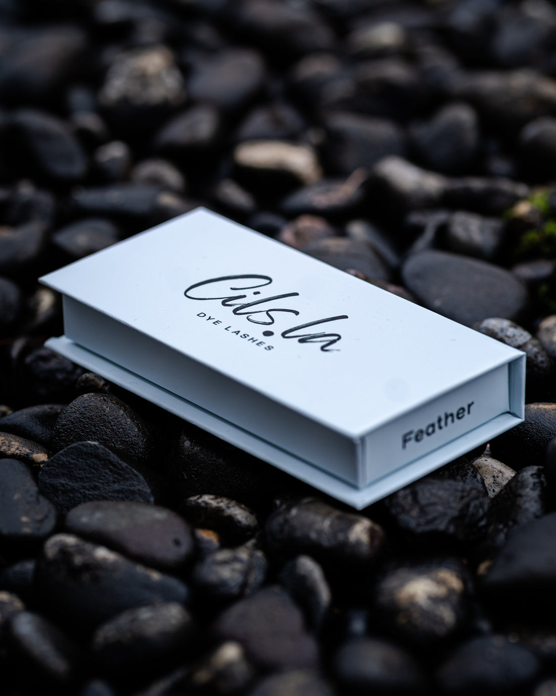 Caja Mixta - Pluma